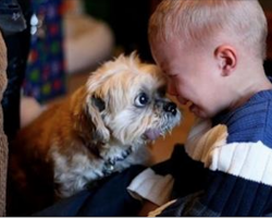 25 Photos That Show Why Every Child Should Have a Pet