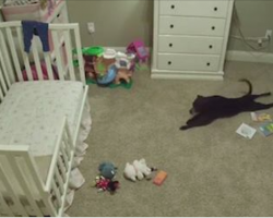 Security Camera Catches Dog Sneaking Into Baby’s Bedroom For Some Fun