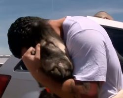 Soldier saves a puppy but has to leave Iraq, knows just what to do instead