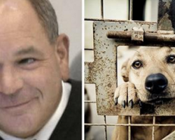 Ohio Judge Is Fed Up With Animal Abusers, Decides To Give Them A Taste Of Their Own Medicine