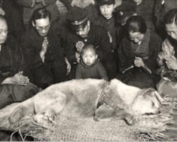 Old Dog Dies In 1935, Then Thousands Show Up To Mourn His Death