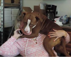 Rescued Dog Overjoyed To Be Off Chain, Won’t Let Rescuer Talk On Phone