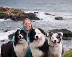 Dying woman just has one final wish for her dogs before she goes