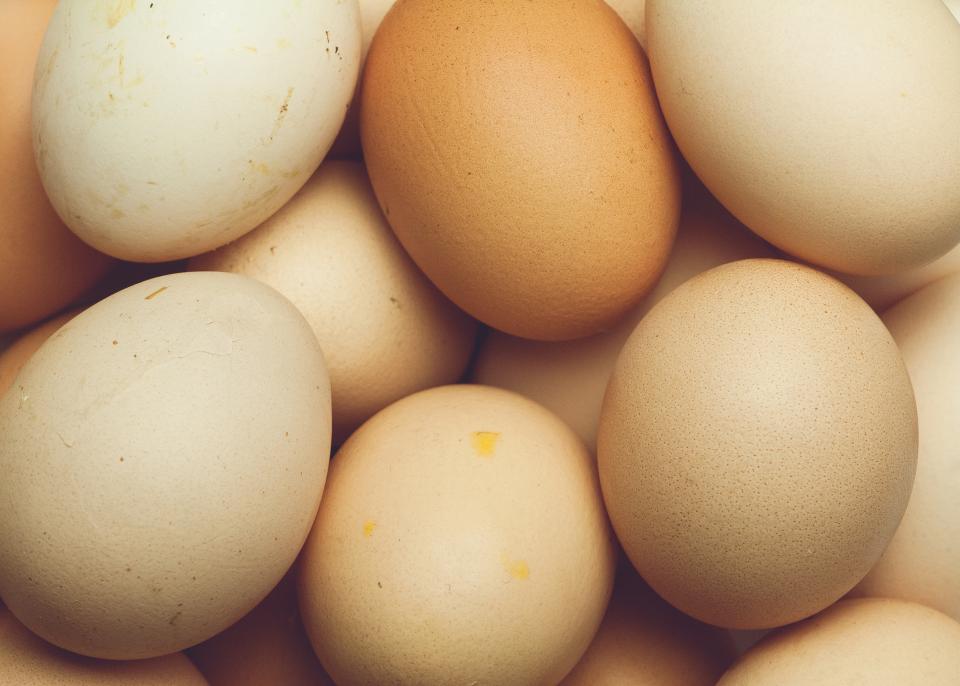 eggs