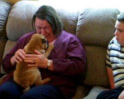 Grandma Can’t Stop Crying When She Gets A Puppy For Mother’s Day