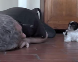 Man drops down to the floor next to his puppy. Get ready to see their amazing interaction