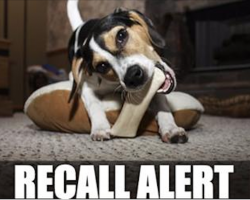 RECALL ALERT: Multiple Brands Of Dog Chews Recalled