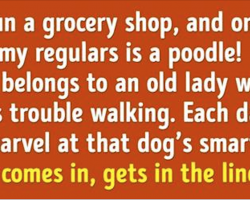 10 Stories Proving That Dog Loyalty Is the Strongest of All