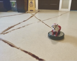 This is what happens when a roomba meets a pile of dog poop at 1:30 a.m.