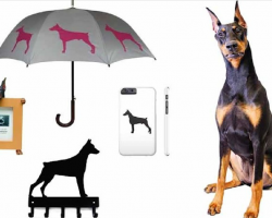 20 Items All Doberman Lovers Need To Have