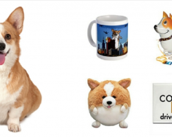 18 Things All Corgi Lovers NEED To Own