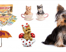 20 Items That All Yorkshire Terrier Lovers Need To Have