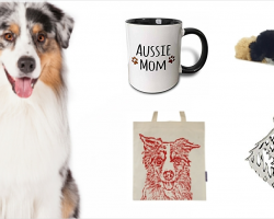 20 Must Have Items For Australian Shepherd Lovers