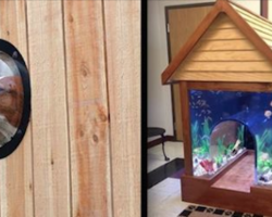 16 gifts for dogs that are clever and hilarious