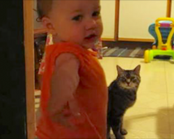 Dad captures the morning routine between his daughter and cat—and it’s too adorable