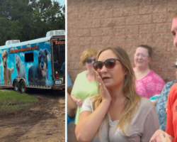 Couple Adopts Dog Before Meeting Him. When The Trailer Door Opens To Reveal Him, They Lose It