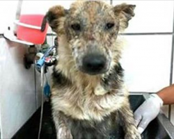 They Put This Abused Baby In A Warm Bath For The First Time. Now Keep Your Eyes On His Face