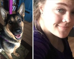 Woman feeds bacon pieces to lonely shelter dog. Then dog escapes and finds his way back to her