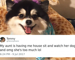 Woman Afraid To Leave Her Dog Alone With Dog Sitter Writes Him List Of Rules, And They Go Viral