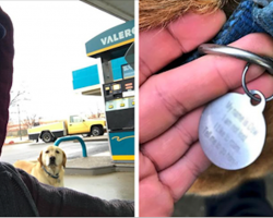 Man Finds A ‘Lost’ Dog, Tries To Help Until He Reads The ID Tag