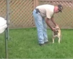 I Thought This Guy Was Being Mean To His Dog. Then… OMG! I Couldn’t Stop Laughing.