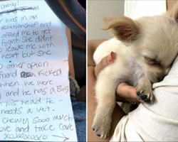 Woman Finds Puppy Abandoned In Airport Bathroom, Then Reads Owner’s Note About Boyfriend’s Abuse