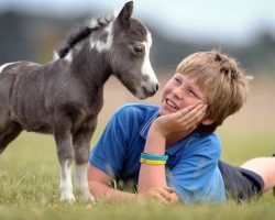 Boy Forms Sweet Friendship With Little Pony