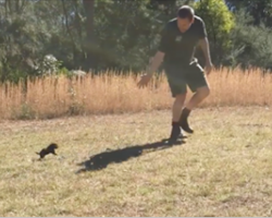 He takes a baby Tasmanian Devil out for its first run, and when it starts chasing him around…