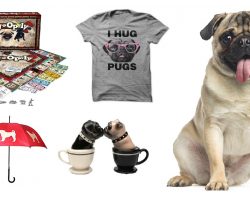 25 Things All Pug Lovers NEED To Have