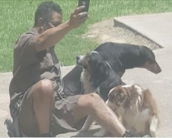Woman Caught UPS Drivers Abnormal Behavior With Her Dogs, Exploits His Act For World To See