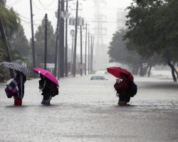 Here Are 9 Ways You Can Help The Victims Of Hurricane Harvey