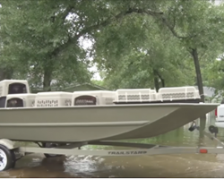 Pets Are Left Stranded In Floodwaters, But This Rescue Team Is Stepping Up In A Big Way