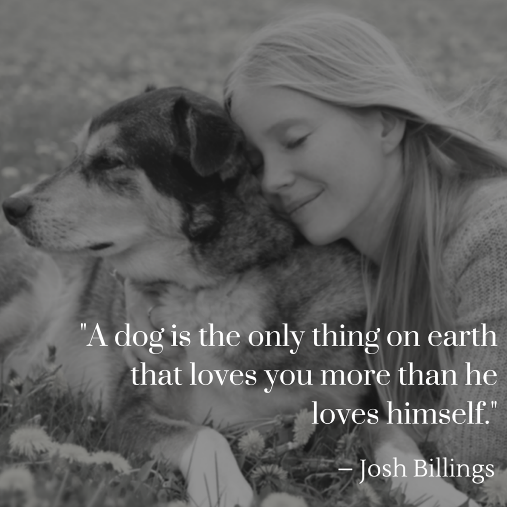 a dog is the only thing on earth that loves you more than he loves himself – Josh Billings