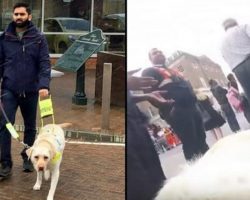 Blind Man Straps Camera To Guide Dog’s Back. When Wife Sees Video Later She’s Horrified