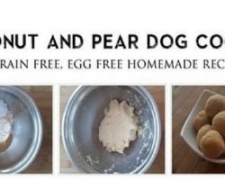 [RECIPE] Super Simple Grain Free, Egg Free Coconut and Pear Cookie for Dogs
