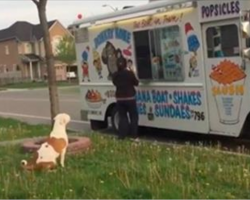 Ice Cream Truck Stops in Neighborhood. Now Keep your Eyes on the Pit Bull in Line..Hilarious!