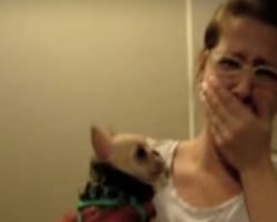 Girl Tells Dog She Loves Her. What Dog Does Next Leaves Her Stunned