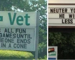 10+ hysterical veterinarian signs that will have you dying of laughter