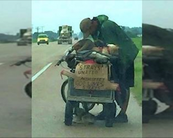Homeless Man Saves 10 Stray Dogs, Receives Incredible Act Of Kindness