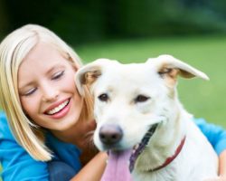 All About Lifetime Pet Insurance