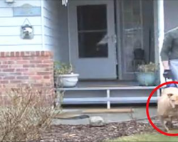 It Looks Like He’s Just Taking His Dog For A Walk, But When You Look Closely…OMG!