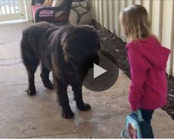 Mom tells her little girl to say goodbye to the dog, now watch what they do