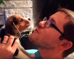 Daddy’s Trying To Teach New Puppy To Howl, His Comeback Has Everyone In Laughter