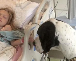 Giant Dog Approaches Little Girl In Hospital Bed, Now Keep Your Eye On His Back