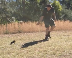 He takes a baby Tasmanian Devil out for its first run, and when it starts chasing him around…