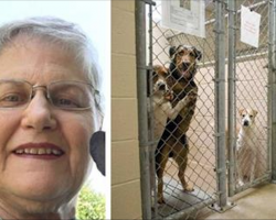 Woman asks shelter for oldest, hardest to adopt dog that no one wants. Here’s who they gave her