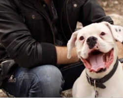Dog’s ‘goodbye’ letter to his owner will leave you in tears