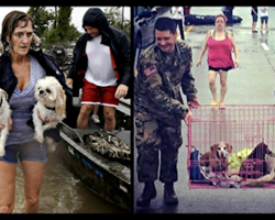 These Photos Captured During Harvey Prove Humanity Is Thriving!