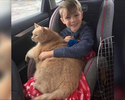 Mom tells boy he can pick any animal at shelter. He picked this elderly, overweight and shy cat
