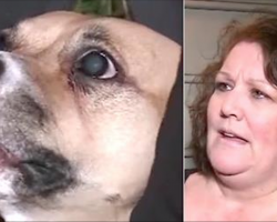 Their Newly Adopted Dog Will Not Stop Growling. Nervous Owner Makes Terrifying Discovery